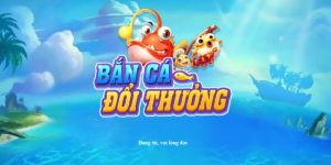 Ngư thủ cần liên tục mở game để luyện tập và cải thiện kỹ năng săn cá online